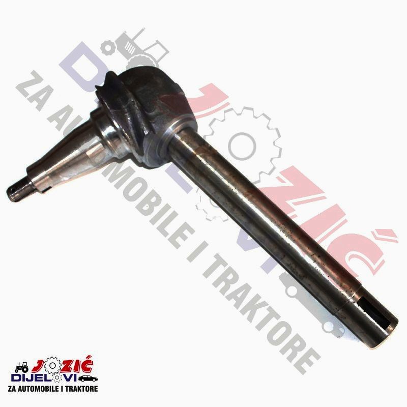 Daisy on the Ohoopee