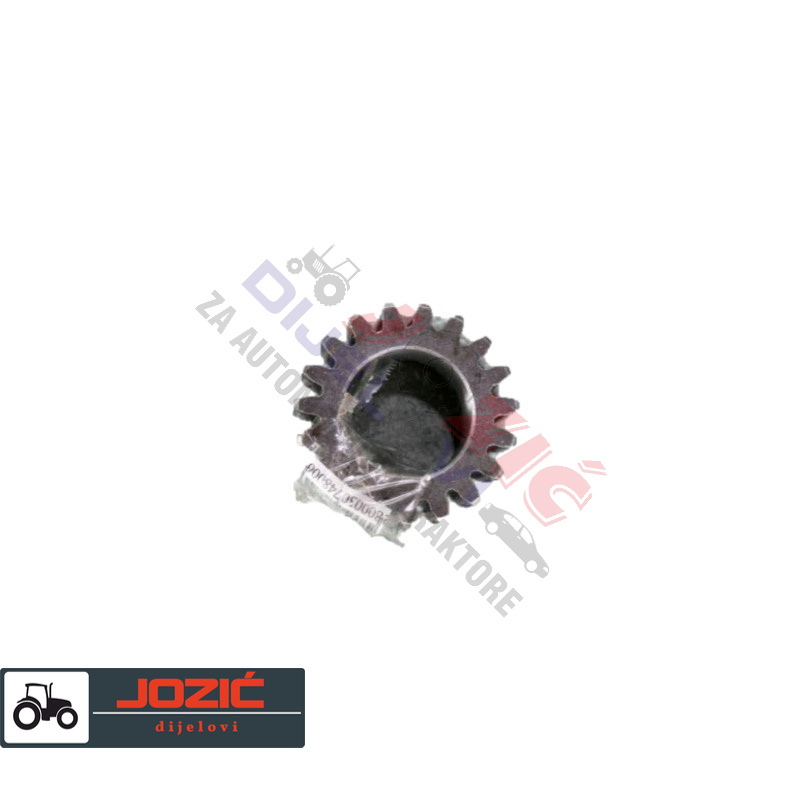 Daisy on the Ohoopee