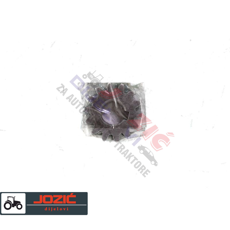 Daisy on the Ohoopee