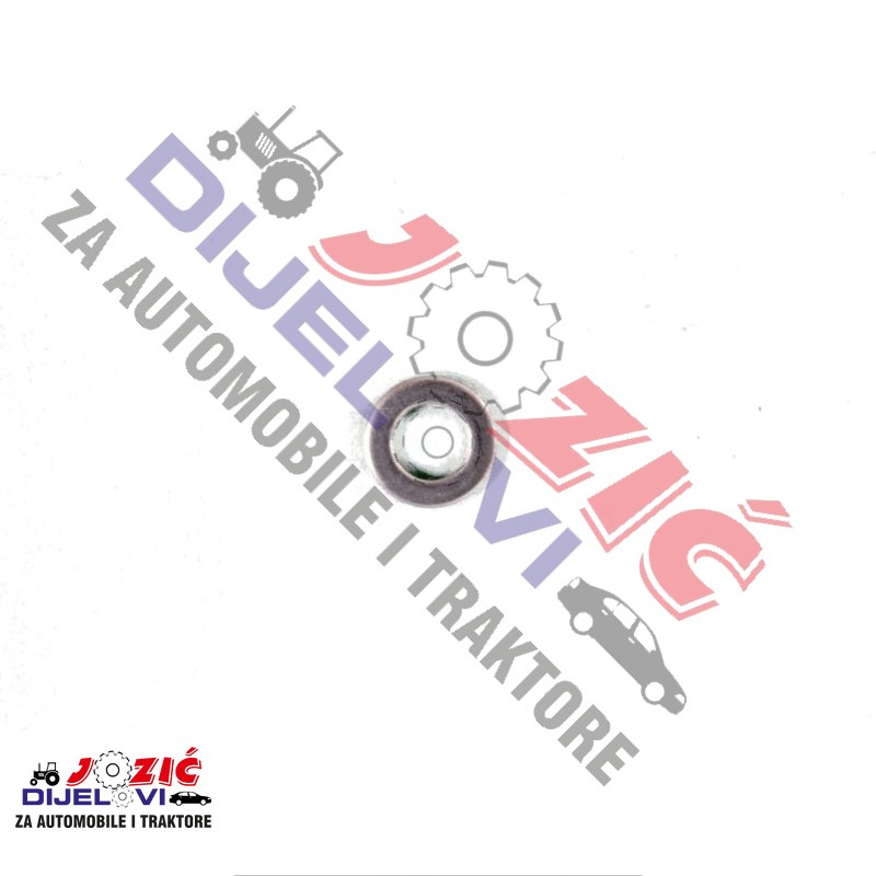 Daisy on the Ohoopee