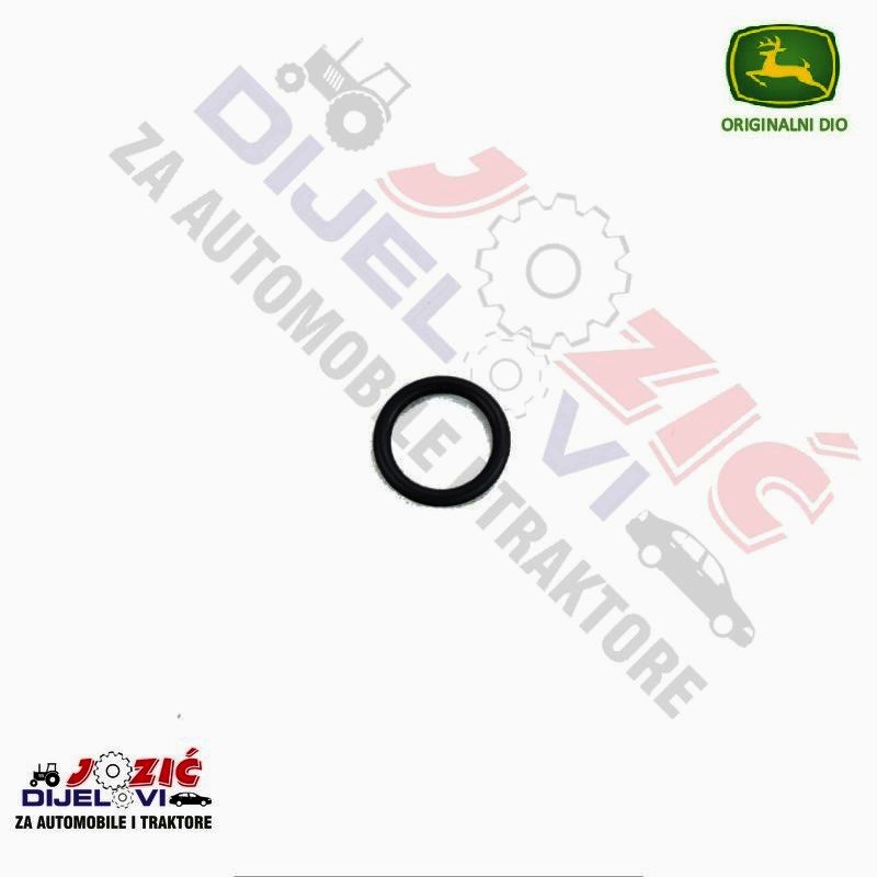 Daisy on the Ohoopee