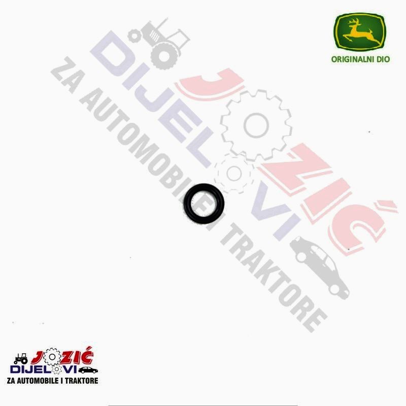 Daisy on the Ohoopee