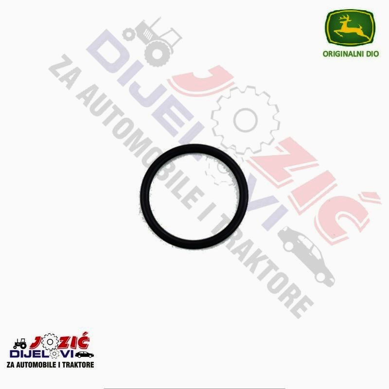 Daisy on the Ohoopee