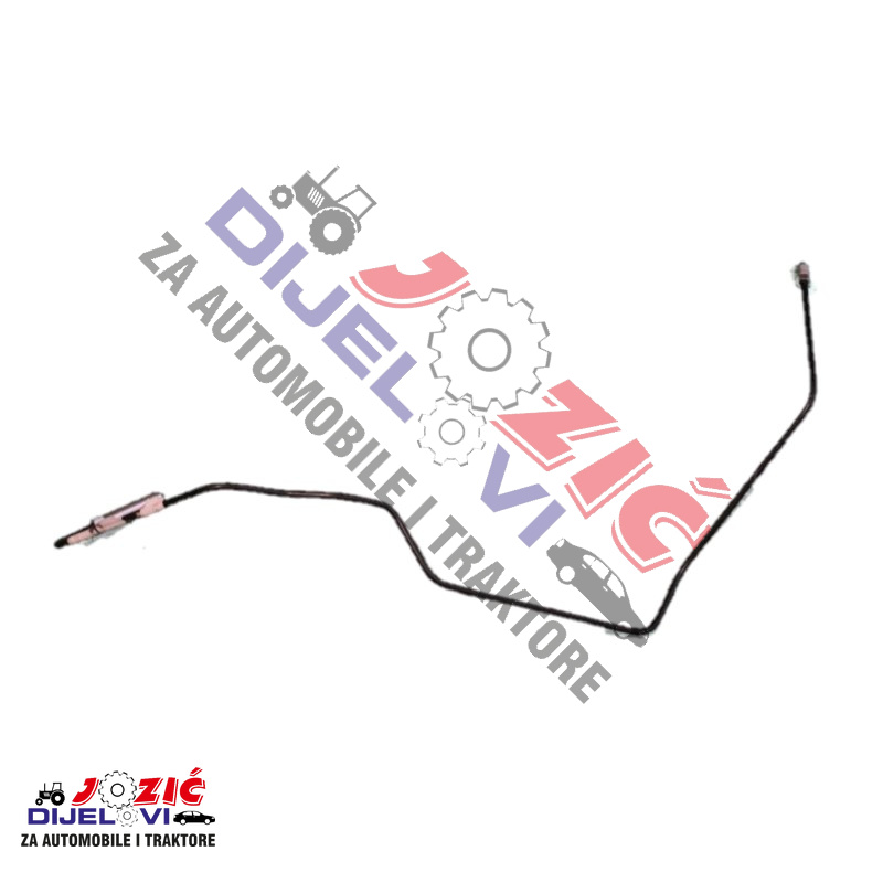 Daisy on the Ohoopee