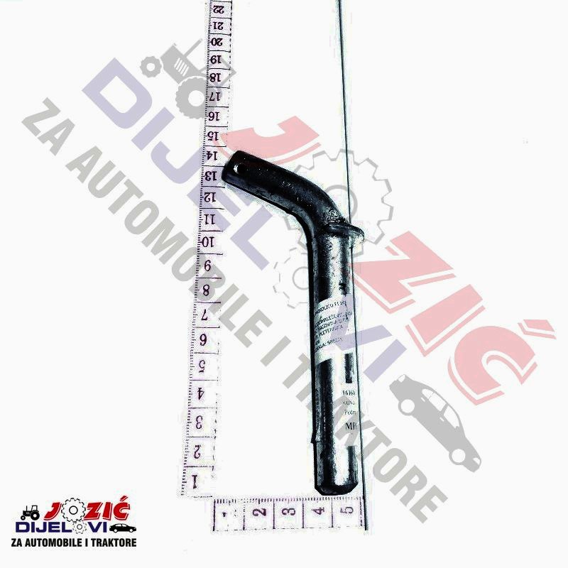 Daisy on the Ohoopee