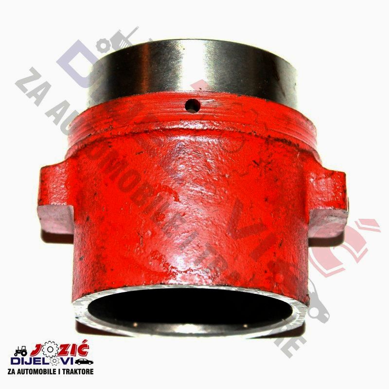 Daisy on the Ohoopee