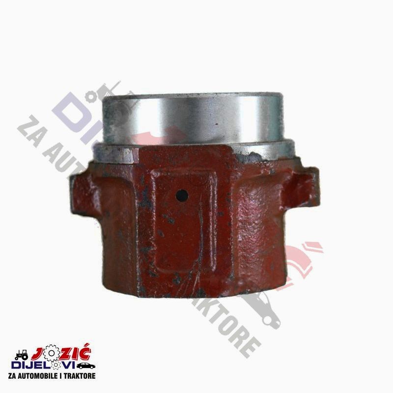 Daisy on the Ohoopee