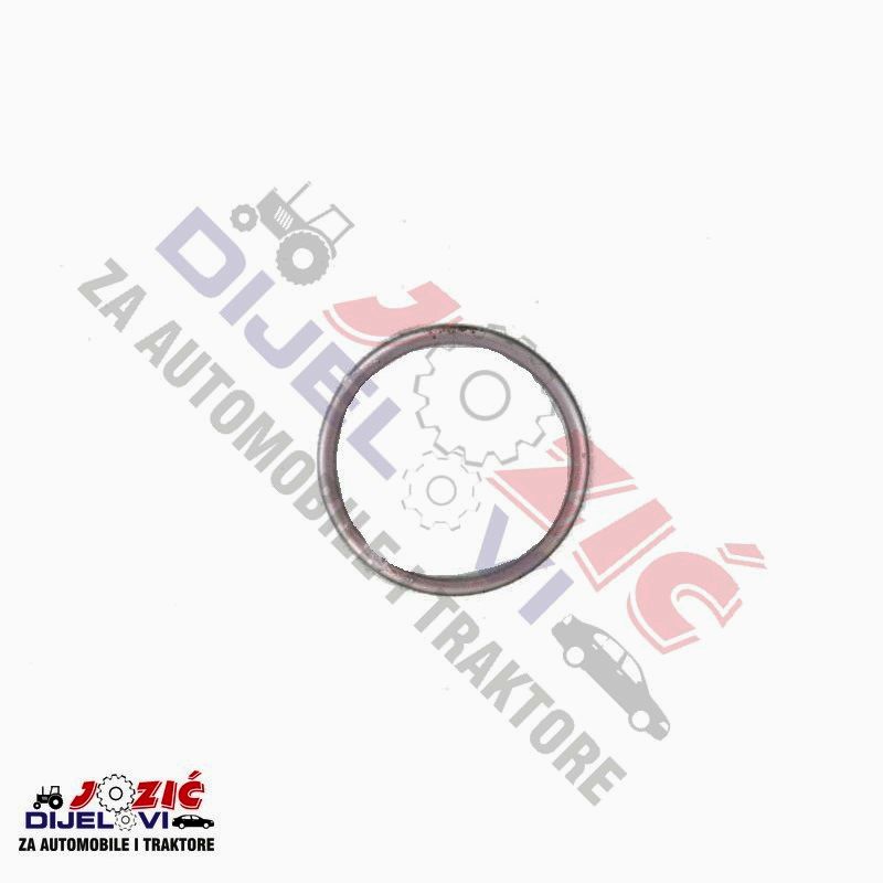 Daisy on the Ohoopee