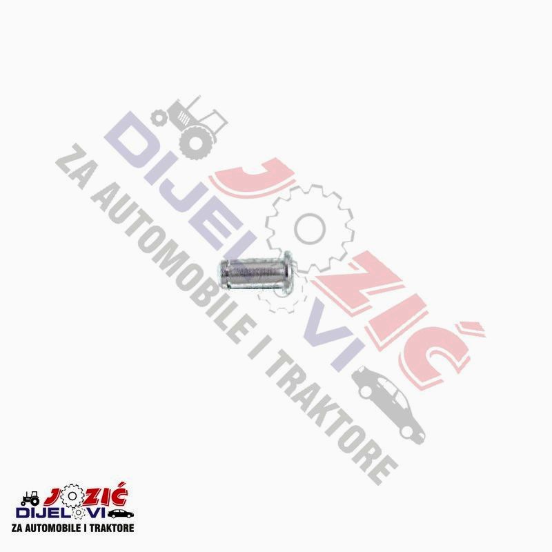 Daisy on the Ohoopee