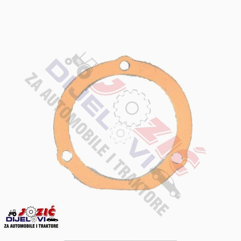 Daisy on the Ohoopee