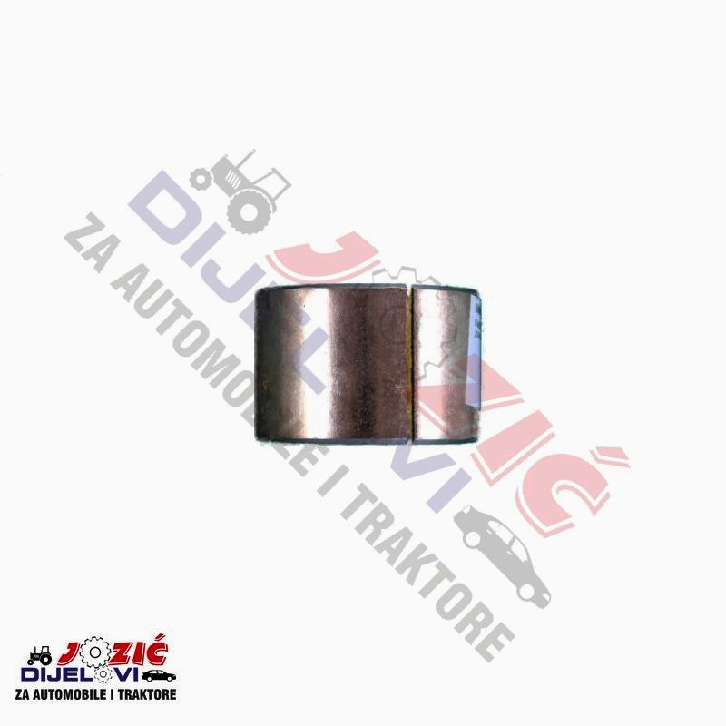 Daisy on the Ohoopee