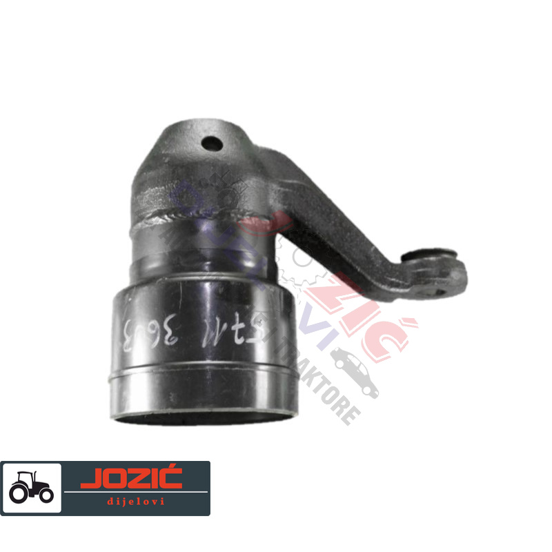 Daisy on the Ohoopee