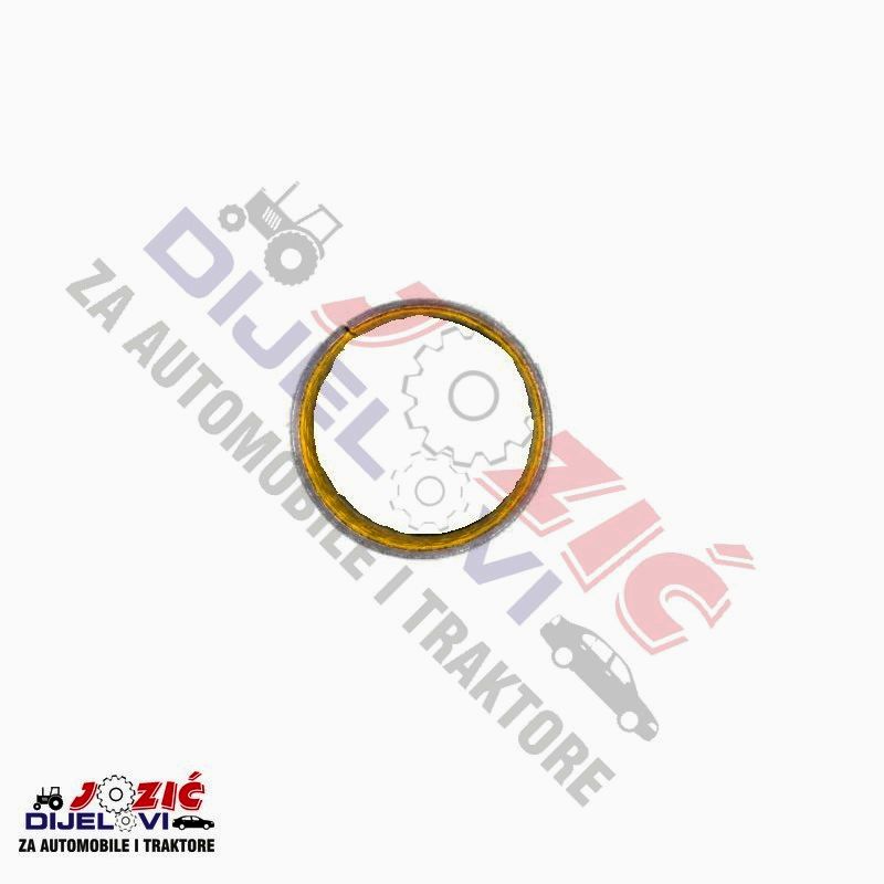 Daisy on the Ohoopee