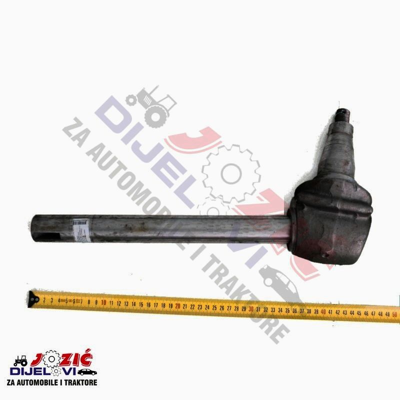 Daisy on the Ohoopee