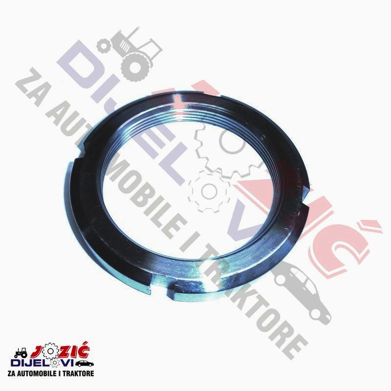 Daisy on the Ohoopee