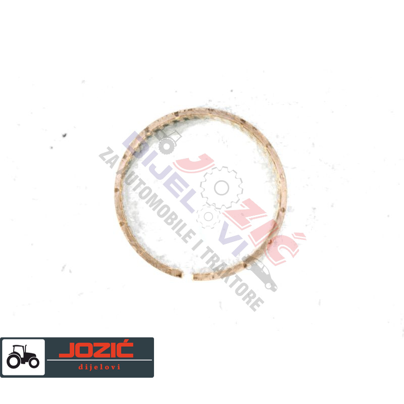 Daisy on the Ohoopee