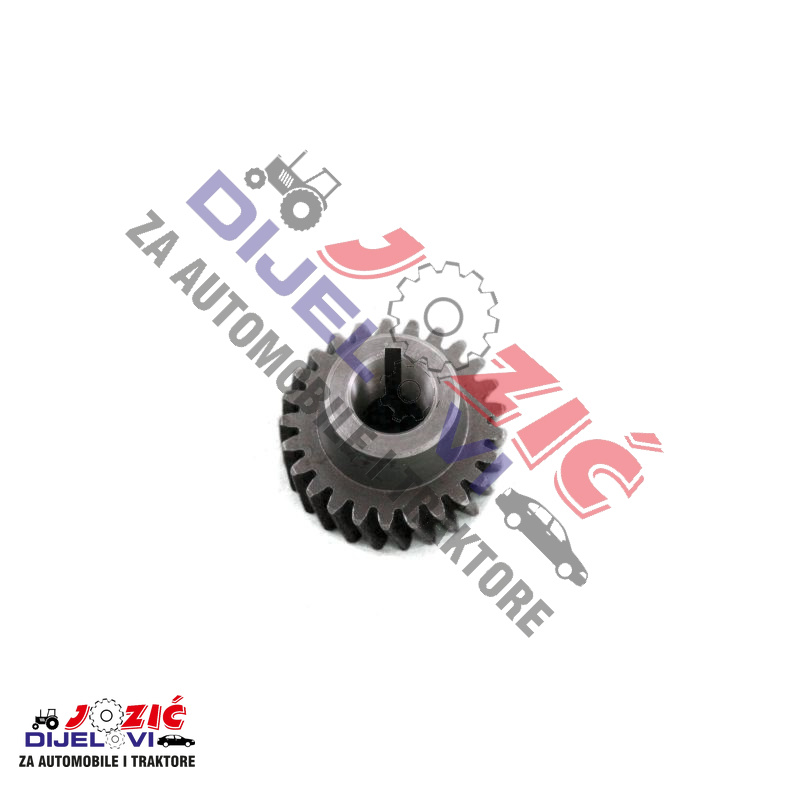 Daisy on the Ohoopee