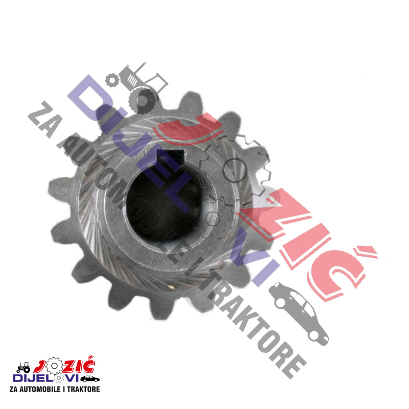 Daisy on the Ohoopee