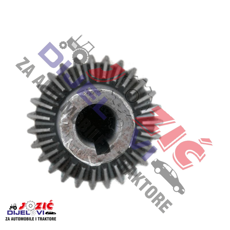 Daisy on the Ohoopee