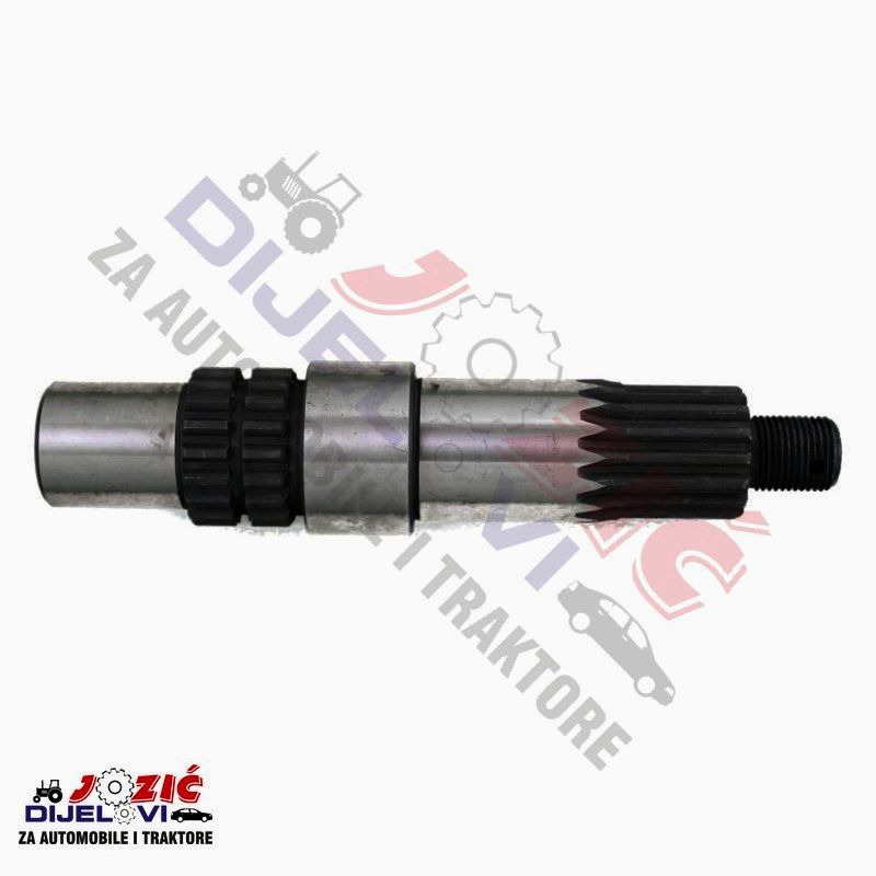 Daisy on the Ohoopee