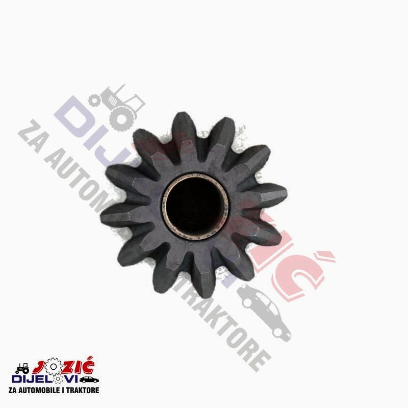 Daisy on the Ohoopee