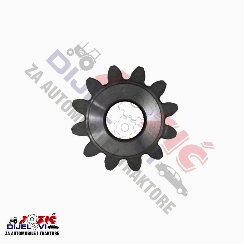 Daisy on the Ohoopee