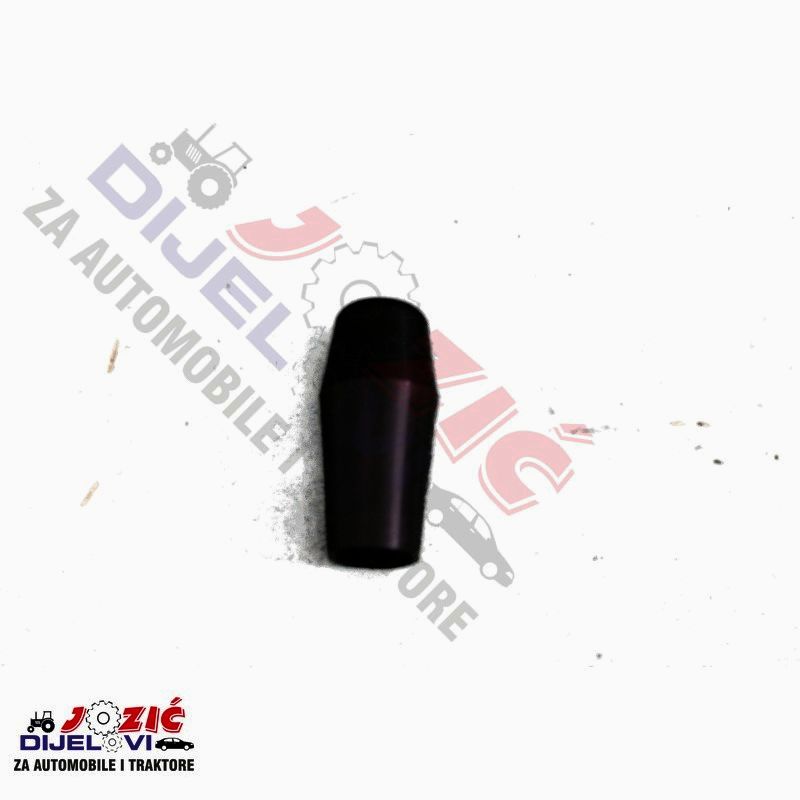 Daisy on the Ohoopee