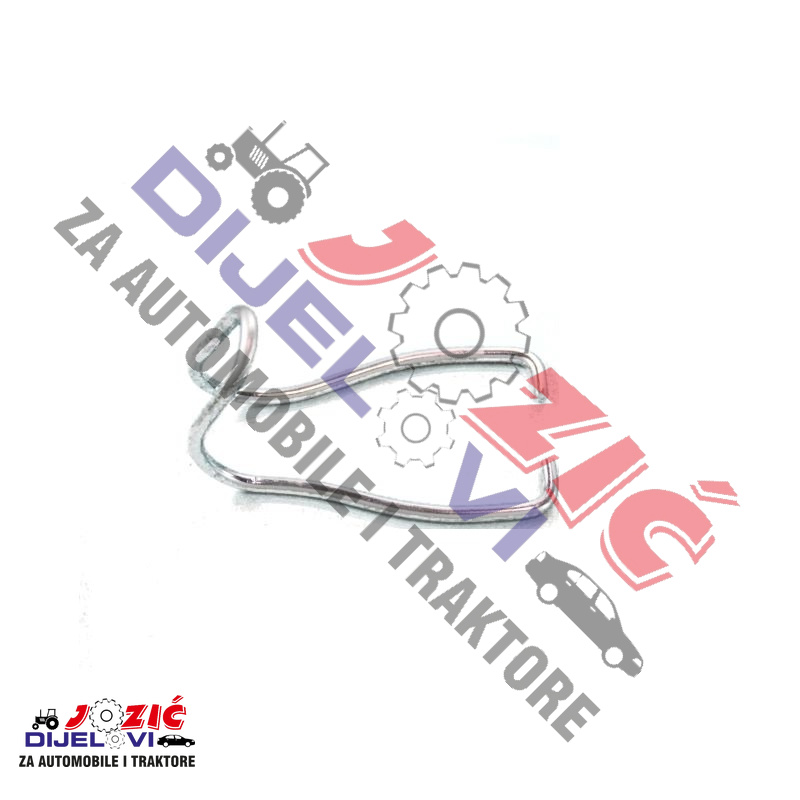 Daisy on the Ohoopee