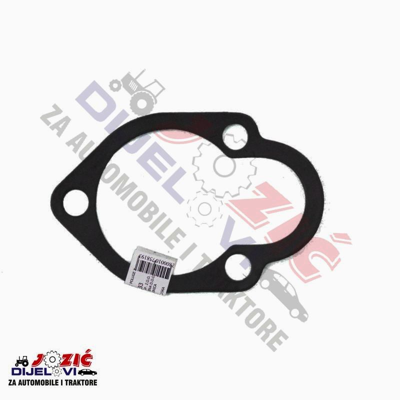 Daisy on the Ohoopee