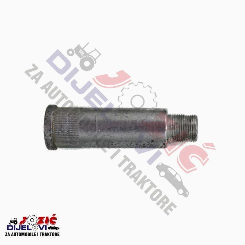 Daisy on the Ohoopee