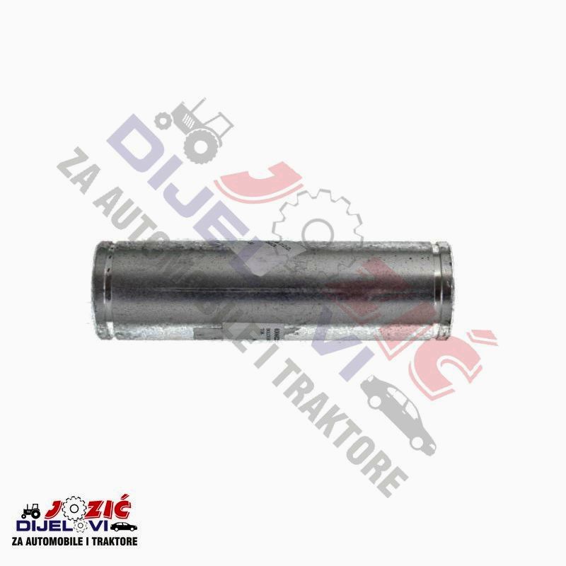 Daisy on the Ohoopee