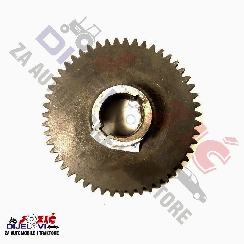 Daisy on the Ohoopee