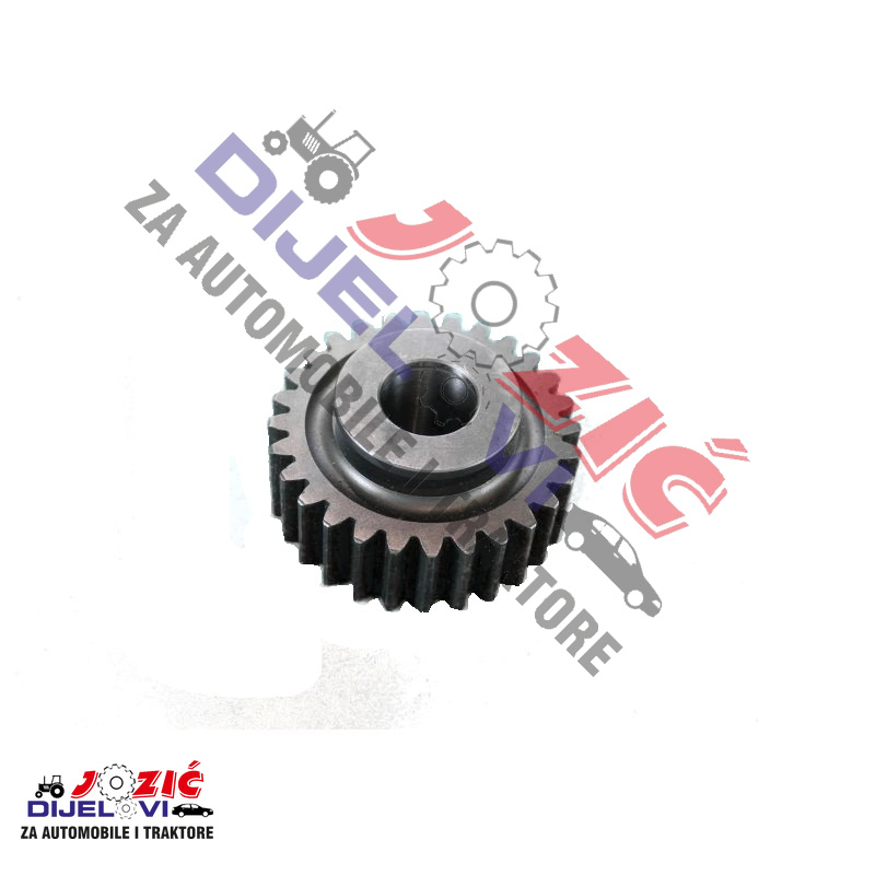 Daisy on the Ohoopee