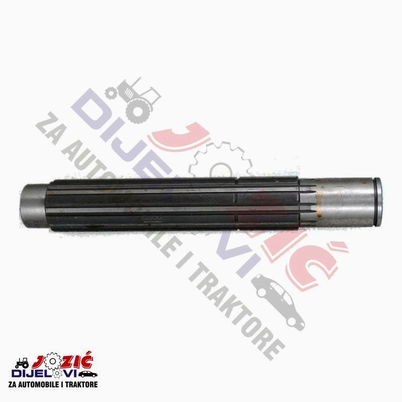 Daisy on the Ohoopee