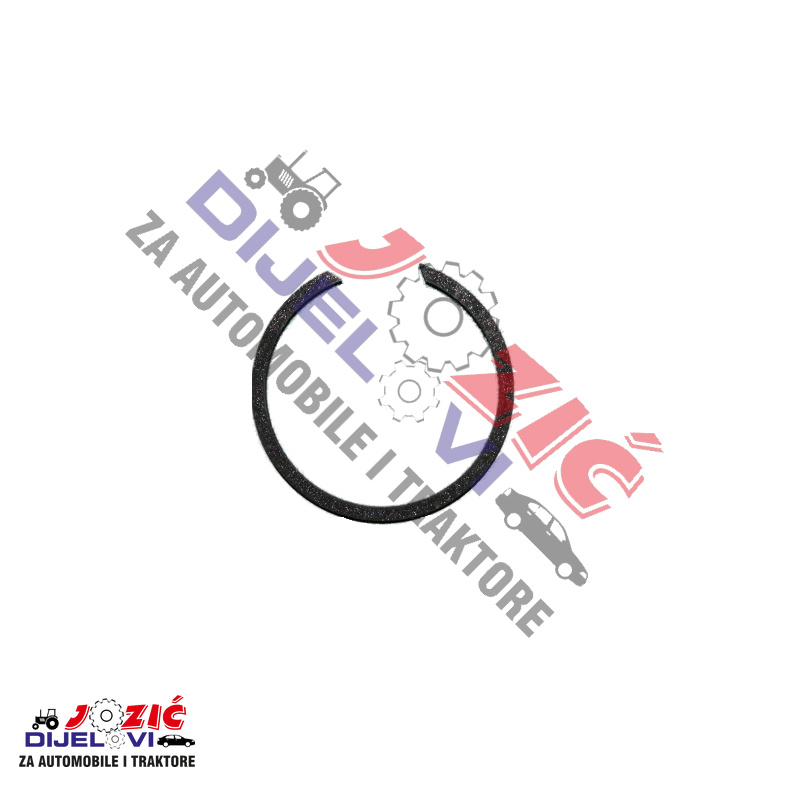 Daisy on the Ohoopee