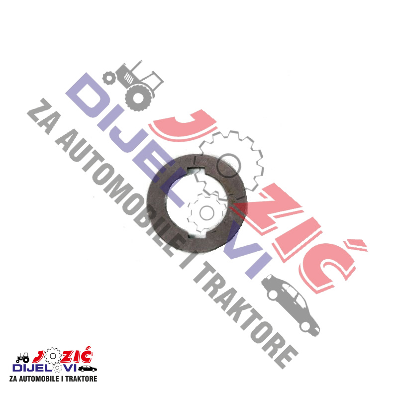 Daisy on the Ohoopee