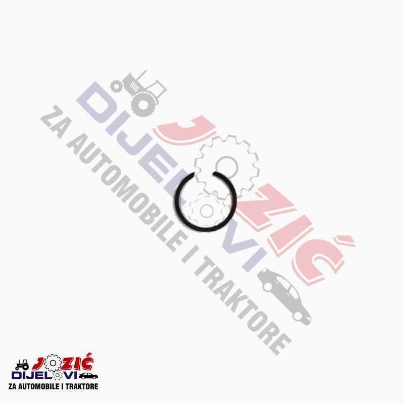 Daisy on the Ohoopee