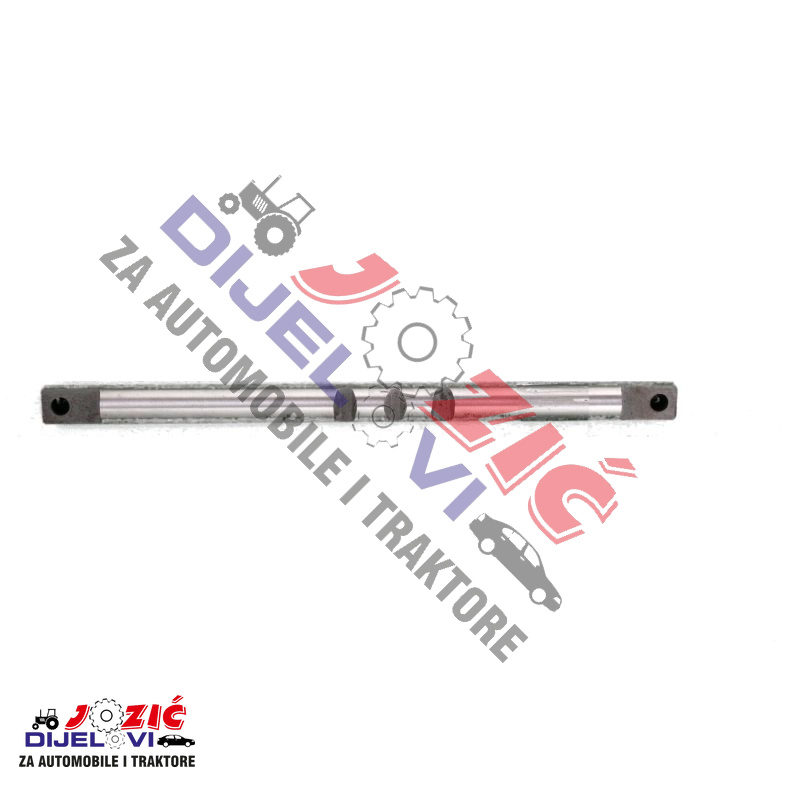 Daisy on the Ohoopee