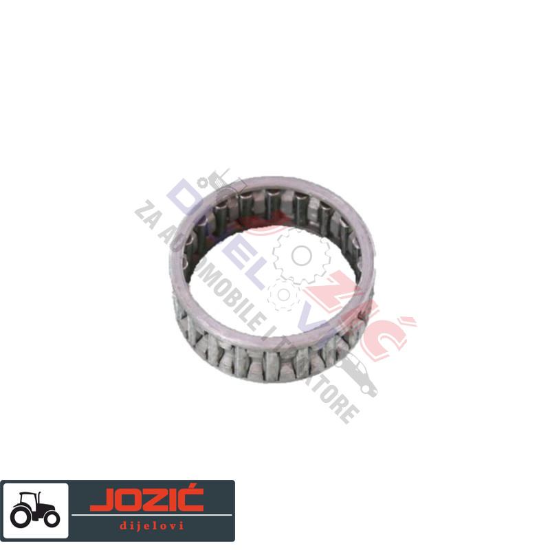 Daisy on the Ohoopee