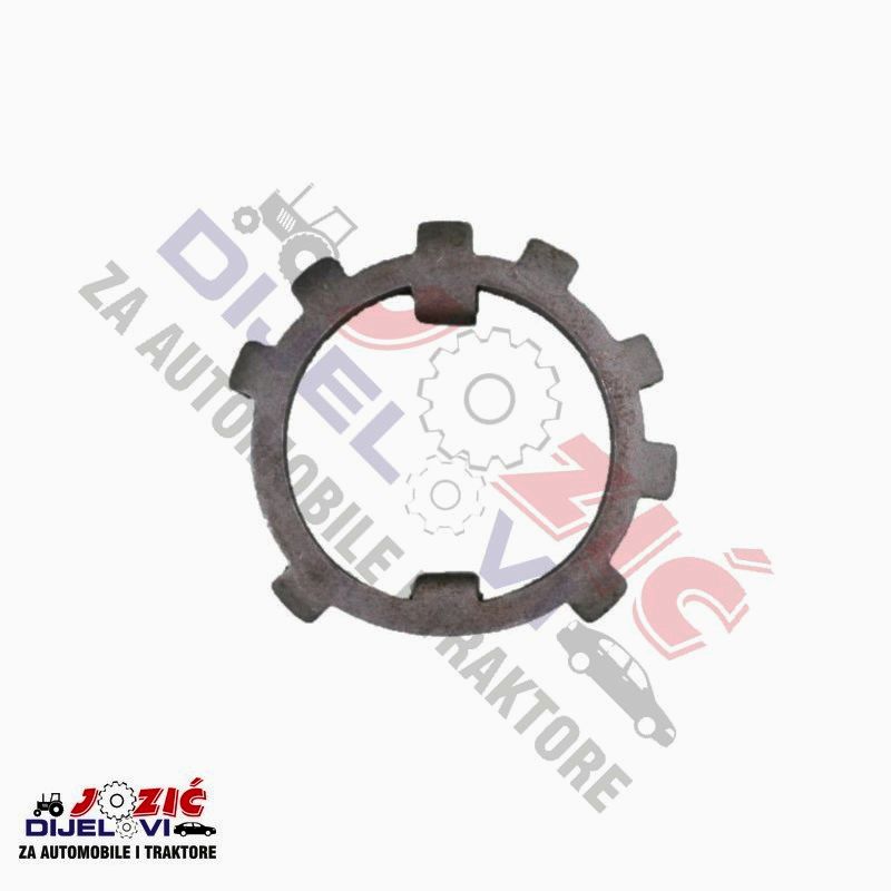 Daisy on the Ohoopee