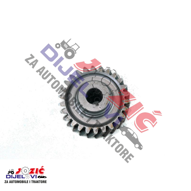 Daisy on the Ohoopee