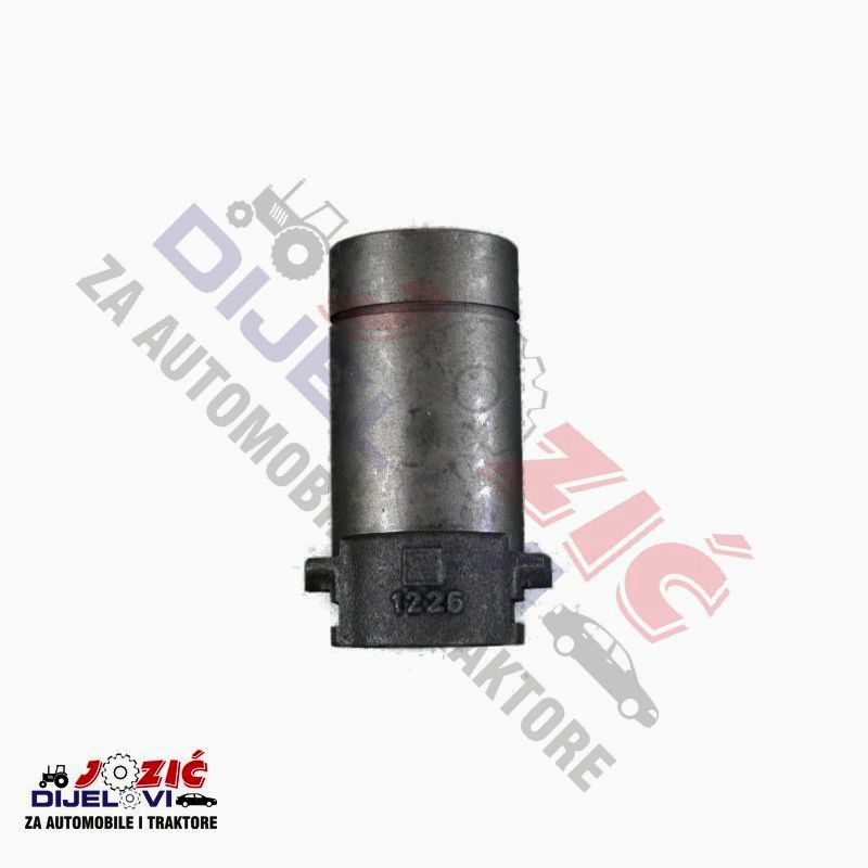 Daisy on the Ohoopee