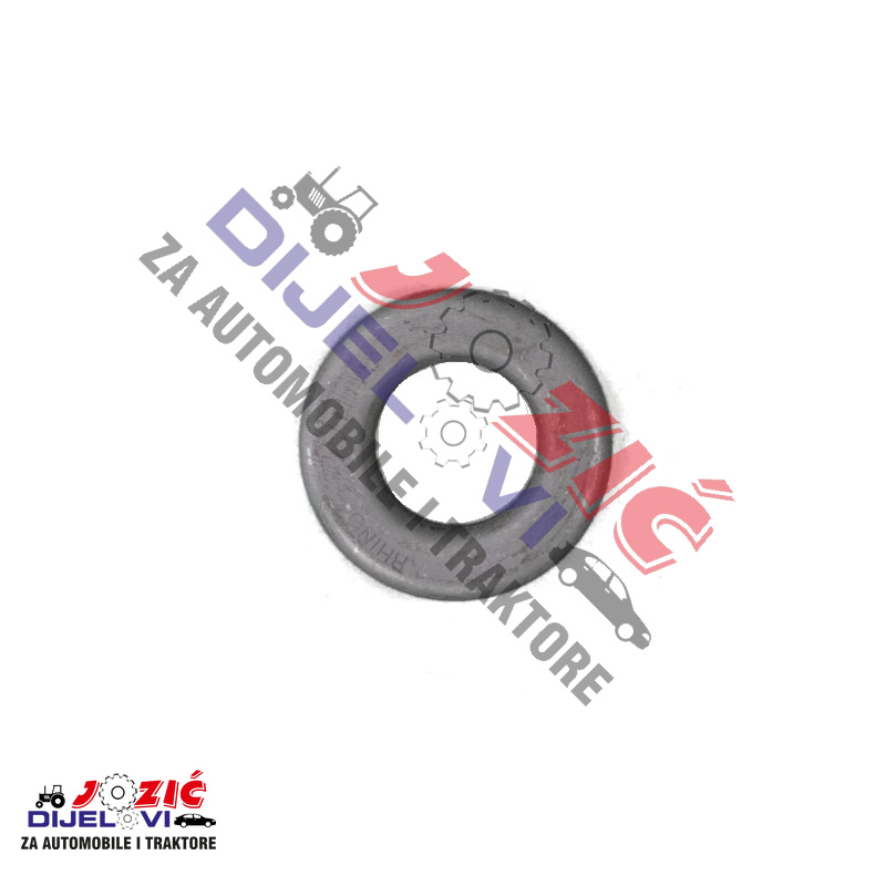 Daisy on the Ohoopee