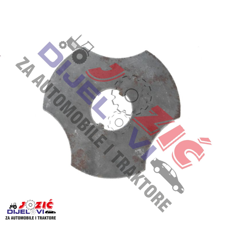 Daisy on the Ohoopee