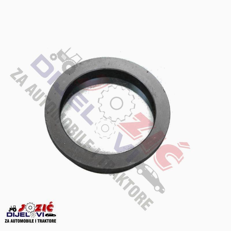 Daisy on the Ohoopee