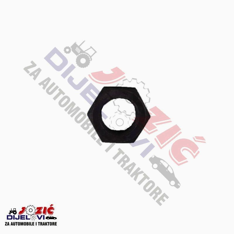 Daisy on the Ohoopee