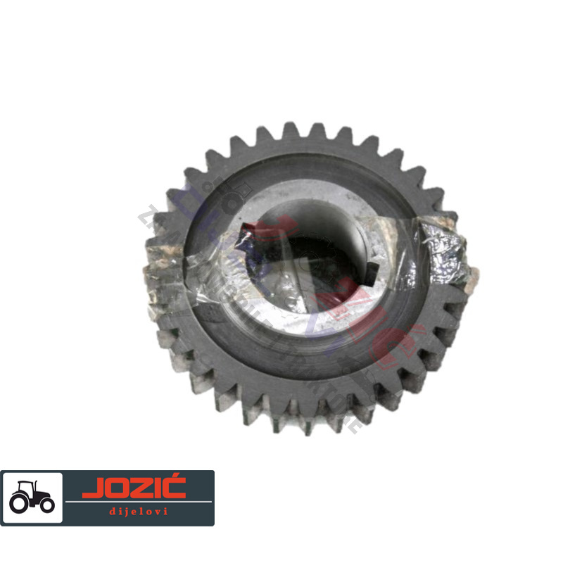 Daisy on the Ohoopee