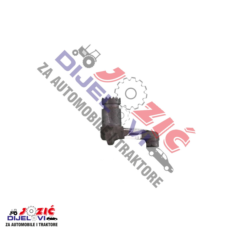 Daisy on the Ohoopee