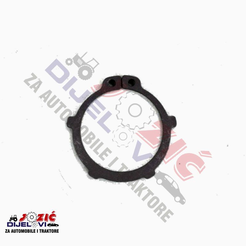 Daisy on the Ohoopee