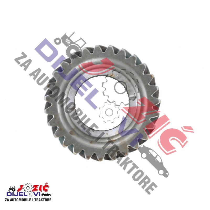 Daisy on the Ohoopee